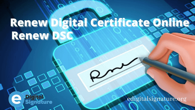 DSC Renewal & Support