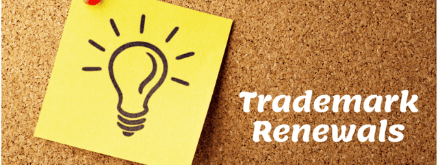 Trademark Renewal & Maintenance